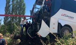 Diyarbakır'da yolcu otobüsü ağaca çıktı: 2 yaralı