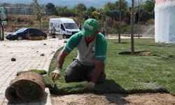 Dostum kamp alanında çalışmalar sürüyor