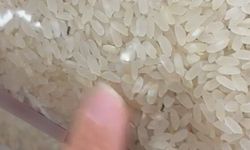 Elazığ'da paketli bir pirinç içerisinde böcekler görüntülendi