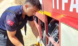 Eskişehir'de alevlerin arasında kalan kaplumbağayı itfaiye kurtardı