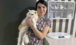 Evcil hayvanlarınızı evde tek bırakırken dikkat