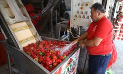 Gaziantep'te kışlık salça mesaisi başladı