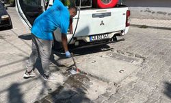 Germencik'te haşere ve zararlılara karşı etkin mücadele
