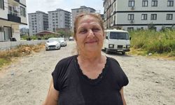 Gökyüzünü kaplayan yüzlerce leyleğin göç yolculuğu