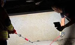 Hatay'da eve giren yılanları itfaiye yakaladı