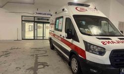 İncir ağacından düştü, ağır yaralandı