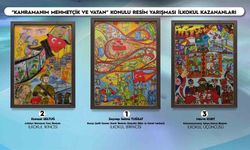 'Kahramanım Mehmetçik ve Vatan' yarışmasında halk oylaması sonuçlandı
