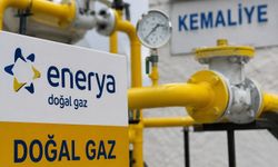 Kemaliye'nin doğal gaz lisans kapsamına alınması onaylandı
