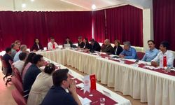 Kırklareli'nde Kadının Güçlenmesi İl Eylem Planı Toplantısı gerçekleştirildi