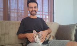 Klimada mahsur kalan kedisini kabloyla bağladığı plaj çantasıyla kurtardı