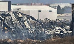 Kocaeli'de kimya fabrikasında yangın: 2 işçi yaralandı, 2 at telef oldu