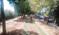 Köşk'te park ve yeşil alanlarda bakım çalışmaları sürüyor