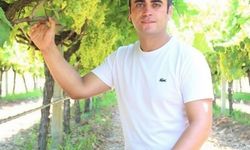 Manisa'da üzüm için 'Altın Model'