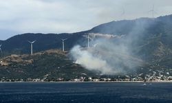 Marmara'da orman yangınına neden olan şüpheli gözaltına alındı