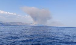 Marmaris'te orman yangını