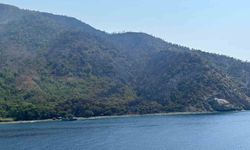 Marmaris'teki orman yangını kontrol altına alındı