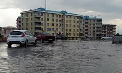 Meteorolojiden Erzurum ve Ardahan için yağış uyarısı geldi