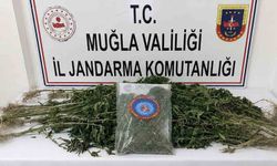 Muğla Jandarmasından uyuşturucu tacirlerine operasyon: 33 tutuklama