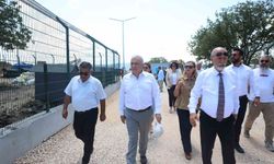 Nilüfer'de sahipsiz hayvanlar için yeni yuva