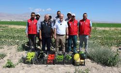 NÖHÜ'de 51 bin fideyle üretilen ürünlerin hasadı yapıldı