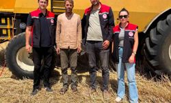 Otlukbeli'nde hasat mesaisi sürüyor
