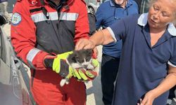 Otomobilin motor bölümüne sıkışan kedi kurtarıldı