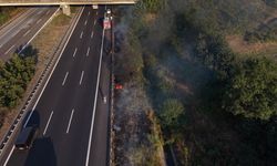 Otoyolda korkutan yangın: Yol kenarına atılan izmarit yangın çıkarttı
