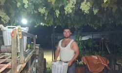 Sarıgöl'de üzüm için gece mesaisi
