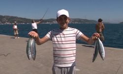 Sarıyer sahilinde palamut bolluğu: Oltasını alan sahile koştu