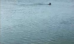 Serinlemek için girdiği göletten cansız bedeni çıktı