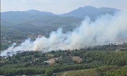 Seydikemer'de orman yangını