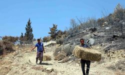 Seydikemer'de yaralar hızla sarılıyor