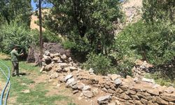 Şeyh Rehani Türbesi yıllardır harabe halde: Mahalleliden hayırsever vatandaşlara çağrı