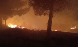 Siirt'te mezarlıkta çıkan yangın itfaiye ekiplerince söndürüldü