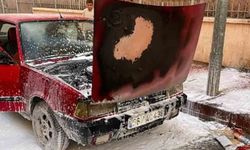Siirt'te park halindeki otomobil alevlere teslim oldu