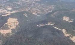 Sındırgı'daki yangın kontrol altına alındı