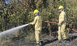 Tarım arazisinde çıkan yangın ekiplerin çalışmasıyla söndürüldü