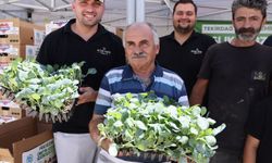 Tekirdağ'da üreticiye kışlık sebze desteği: 104 bin fide dağıtılıyor