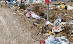 Turizm cenneti Kapıdağ'da çöp manzaraları tepki çekiyor