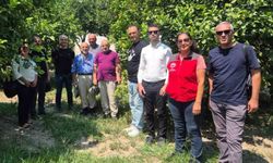 Turunçgil üretim alanlarında sürdürülebilir biyolojik mücadele çalışmaları