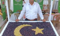 Üzüm fiyatları hasat zamanı değil önceden açıklanmalı