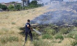 Van'da anız yangını