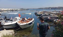 Yalova'da atık suları arıtmadan deşarj eden belediyeye 7,9 milyon lira ceza