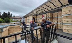 Yangından etkilenen arıcılara 2 bin kovan dağıtıldı