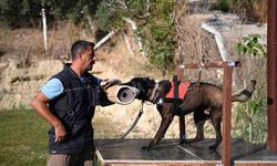 Yetiştirdiği kurtarma köpekleriyle doğal afetlerde birçok hayat kurtardı