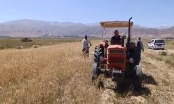 Yüksekova'da sıcak havaya rağmen çiftçilerin hasat mesaisi başladı