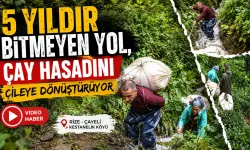 Yolu bitmedi, üreticinin çay bezleri ile “Yirmak” çilesi sürüyor