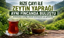 Çaya Zeytin Yaprağı Eklendi, Tescili Alındı