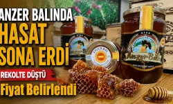 Anzer Balında Hasat Sona Erdi, Rekolte Düştü Fiyat Açıklandı
