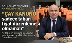 Mertoğlu “Çay Kanunu sadece taban fiyat düzenlemesi olmamalı”